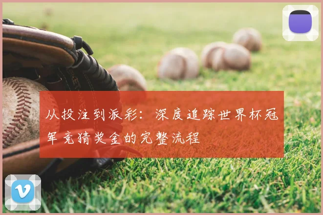 从投注到派彩：深度追踪世界杯冠军竞猜奖金的完整流程