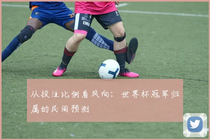 从投注比例看风向：世界杯冠军归属的民间预测