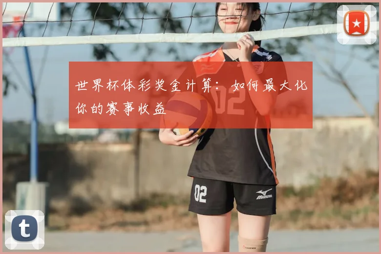 世界杯体彩奖金计算：如何最大化你的赛事收益