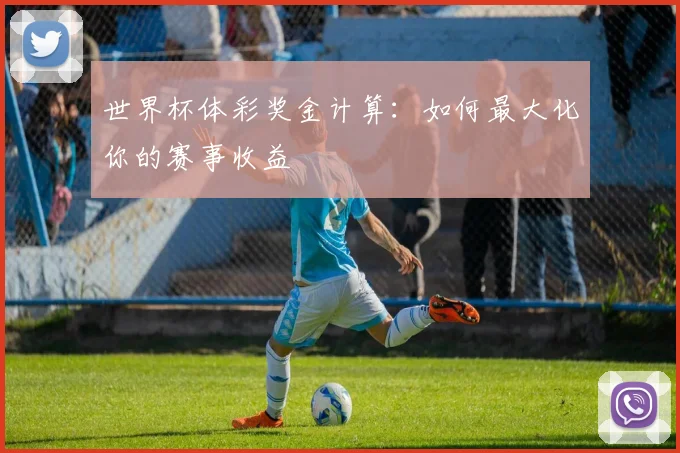 世界杯体彩奖金计算：如何最大化你的赛事收益
