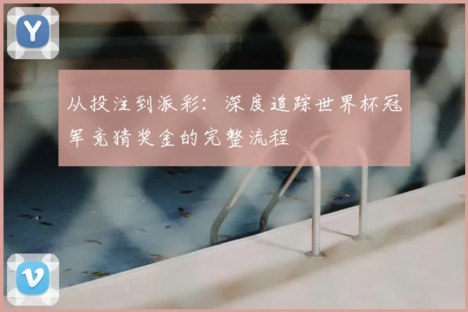 从投注到派彩:深度追踪世界杯冠军竞猜奖金的完整流程