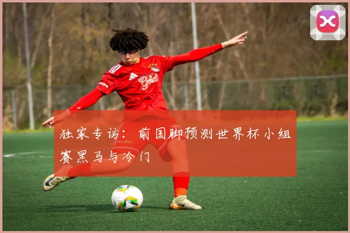 独家专访：前国脚预测世界杯小组赛黑马与冷门